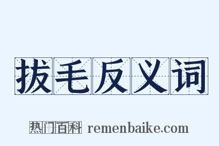 拔毛反义词是什么意思的图片